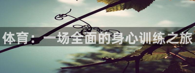 球速体育：体育：一场全面的身心训练之旅