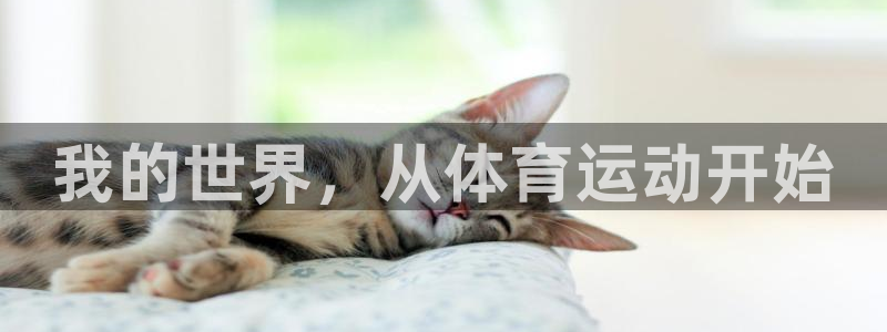 球速体育：我的世界，从体育运动开始