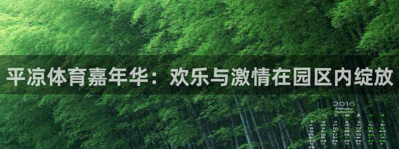 球速体育：平凉体育嘉年华：欢乐与激情在园区内绽放