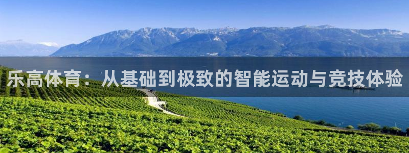 球速体育：乐高体育：从基础到极致的智能运动与竞技体验