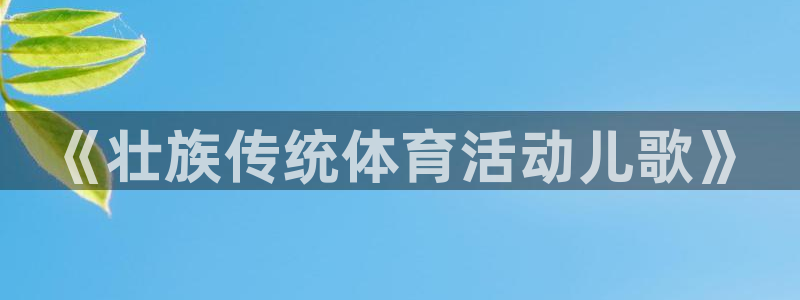 球速体育：《壮族传统体育活动儿歌》