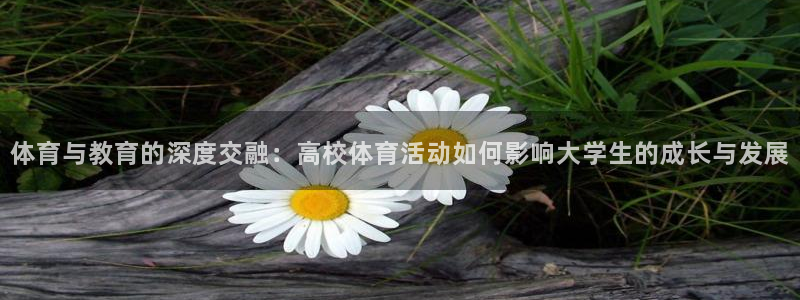 球速体育：体育与教育的深度交融：高校体育活动如何影响大学生的成长与发展