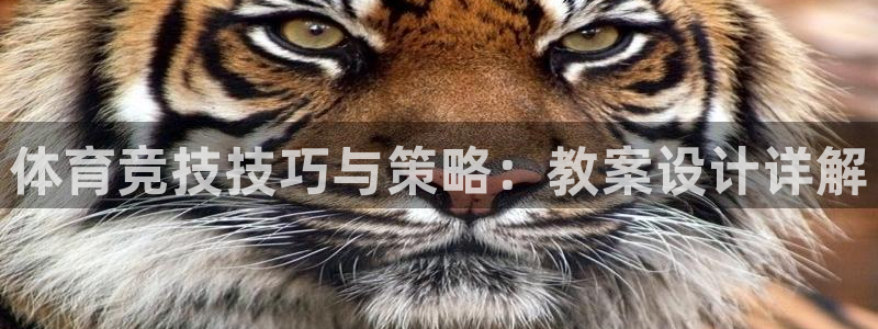 球速体育：体育竞技技巧与策略：教案设计详解