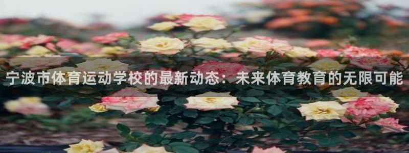 球速体育：宁波市体育运动学校的最新动态：未来体育教育的无限可能