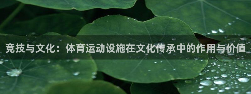 球速体育：竞技与文化：体育运动设施在文化传承中的作用与价值