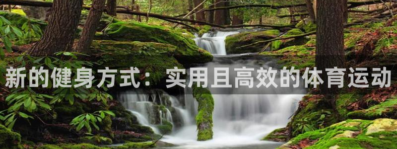 球速体育：新的健身方式：实用且高效的体育运动