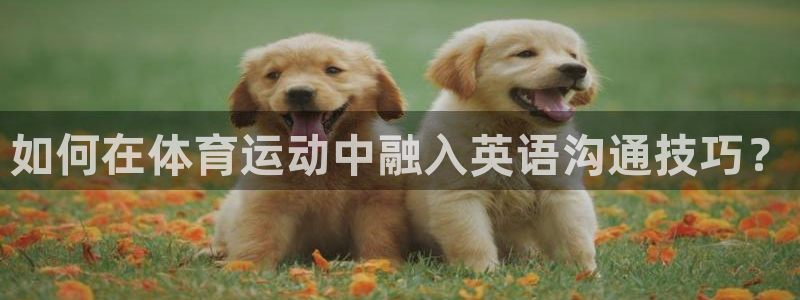 球速体育：如何在体育运动中融入英语沟通技巧？