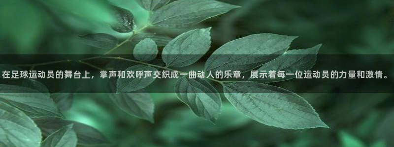 球速体育：在足球运动员的舞台上，掌声和欢呼声交织成一曲动人的乐章，展示着每一位运动员的力量和激情。